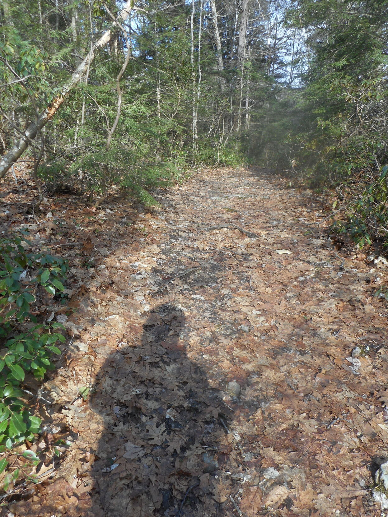 alander mountain trail